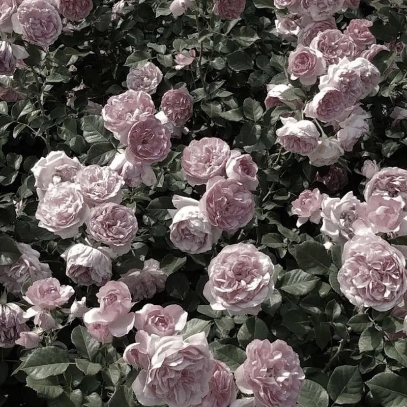 アイマジック池袋店 （まつ毛サロン）の掲載