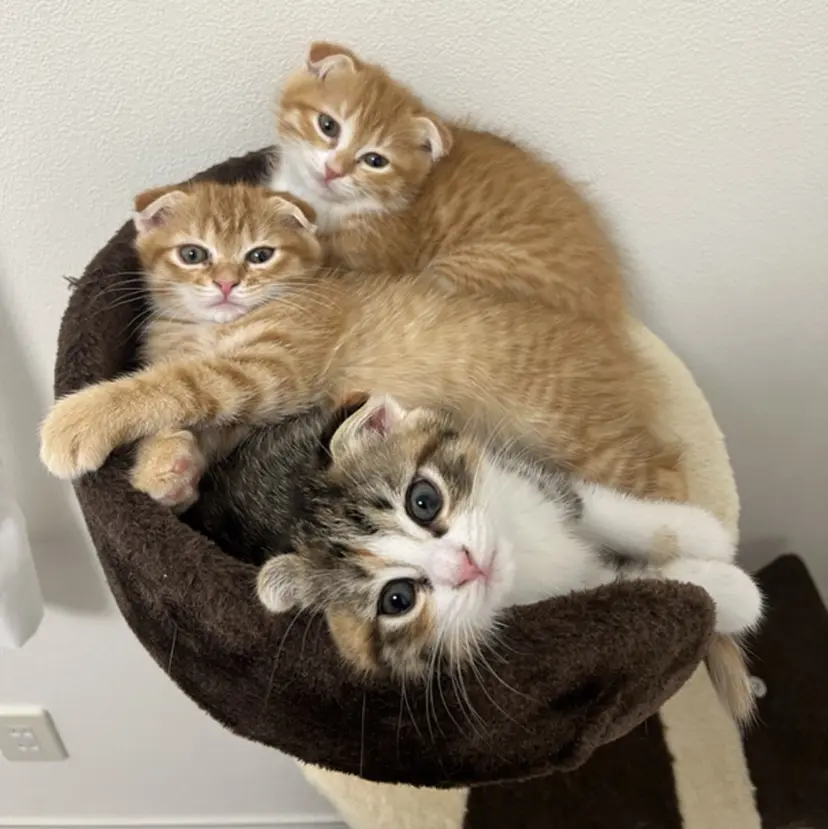 アロマ&リラク MiRAiiの掲載