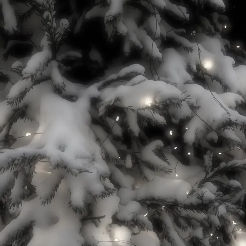 colorモデル募集 ✧︎*。/ ミュウの掲載