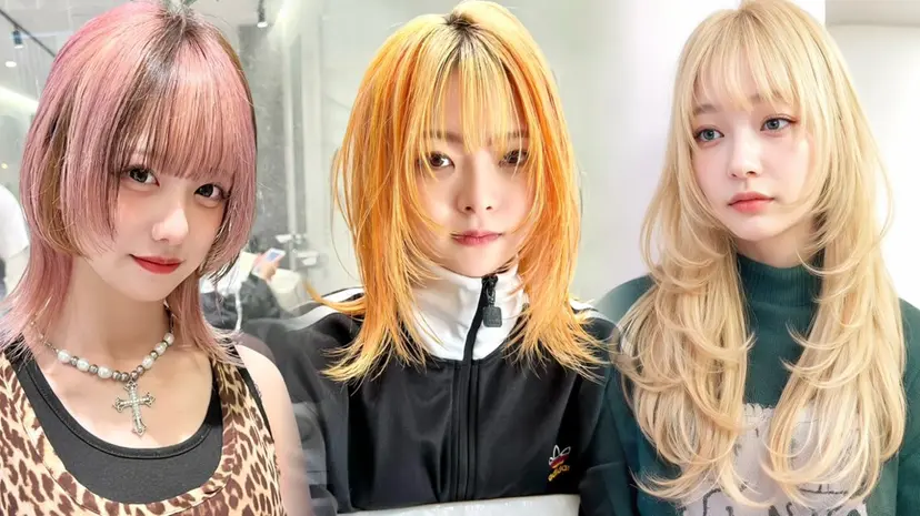 新宿No1のレイヤー ハイトーン 岩田健斗の掲載