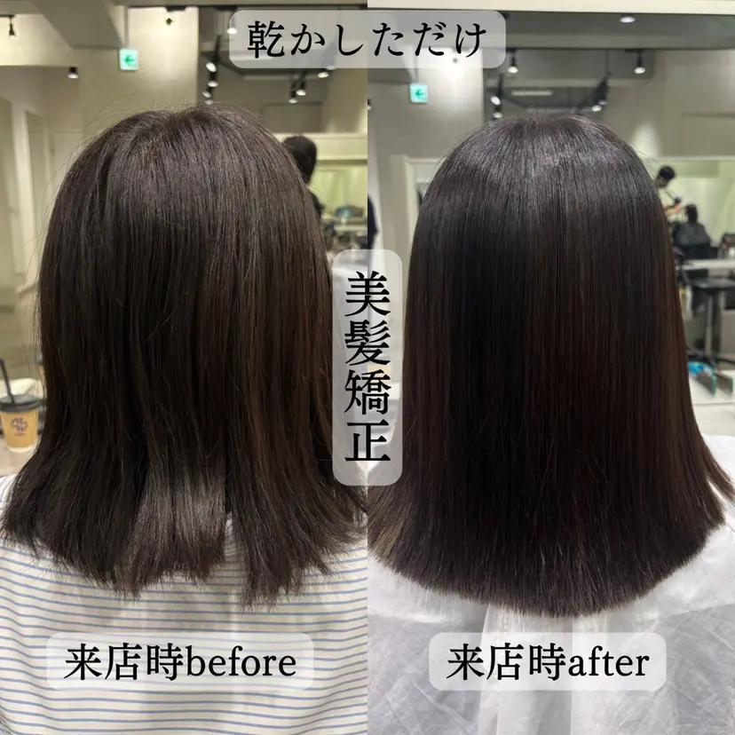 今泉 麗樹の掲載