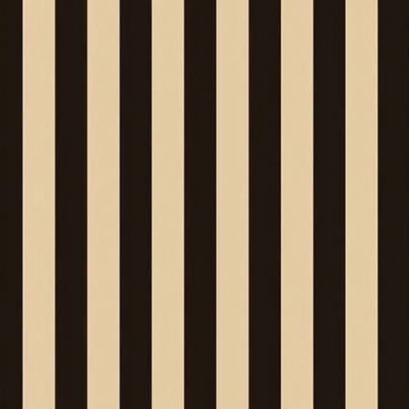 中澤 眸乃の掲載