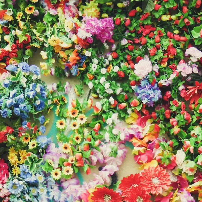 Ange lian 🌿お手頃価格サロンの掲載