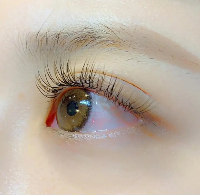 Carina 甲子園の掲載