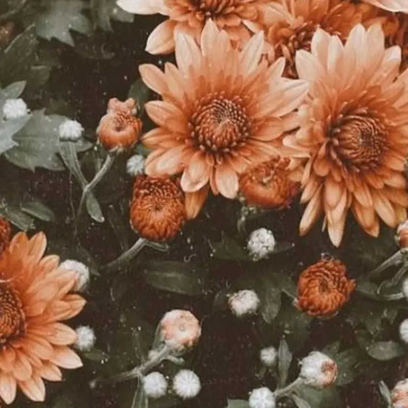 渡部 愛里の掲載