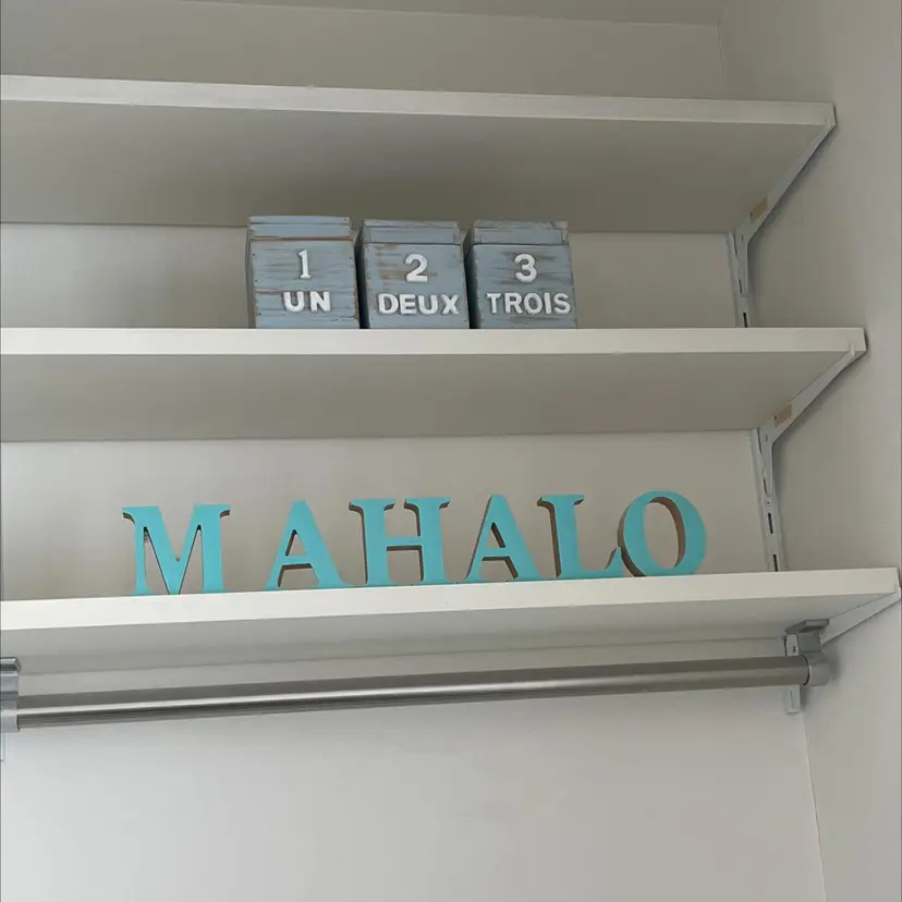 野々山 亜美の掲載