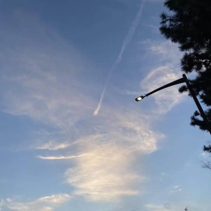 石田 俊介の掲載