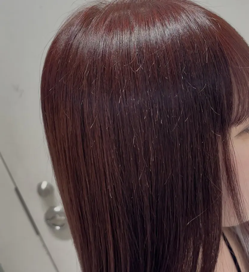 シバ リョウの掲載