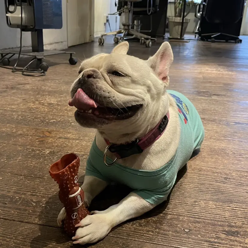 つじ なちの掲載