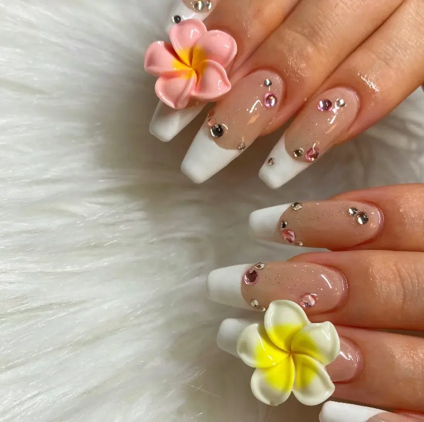 家入 可奈の掲載