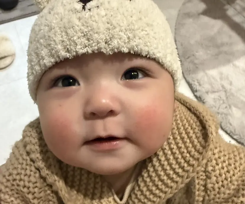atelier momoの掲載