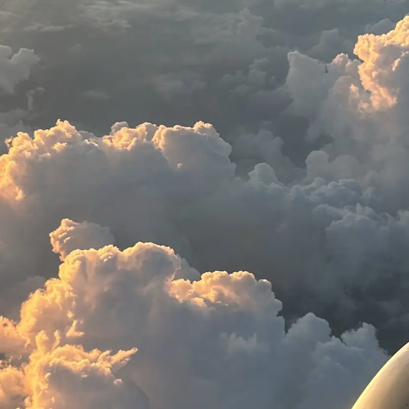 Le'a First REIKAの掲載