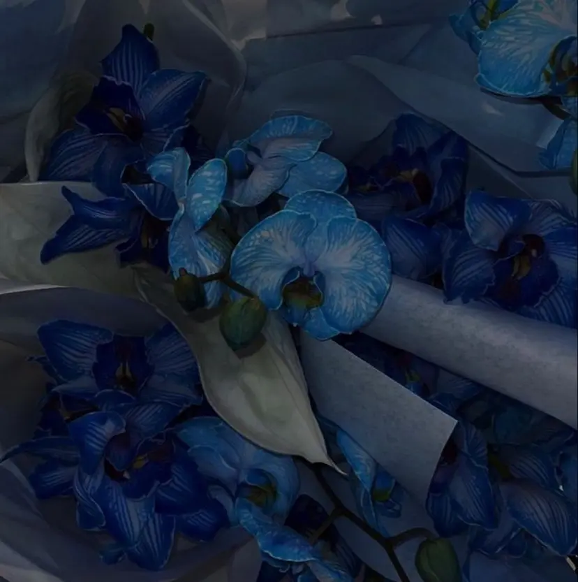 鹿児島美容室 NATSUKIの掲載