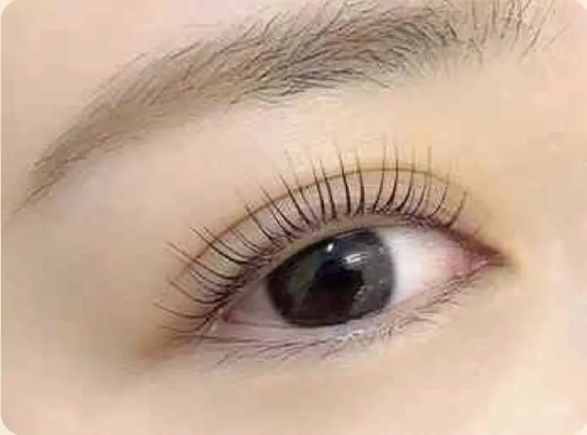 マリーテレジア🩵 FUJIWARAの掲載