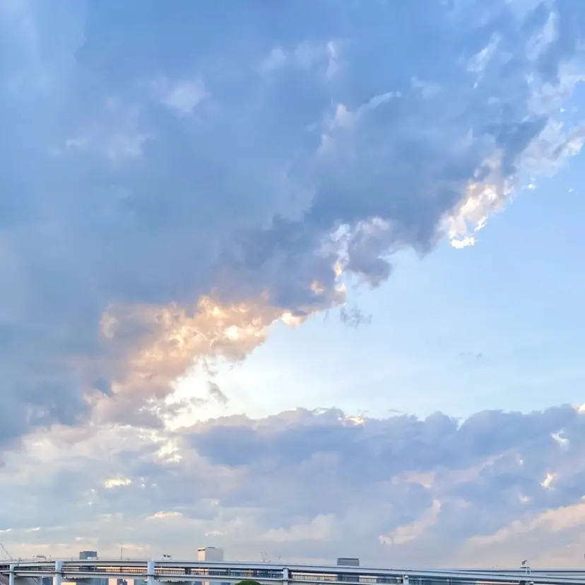 デザインカラー🕊️ イオの掲載