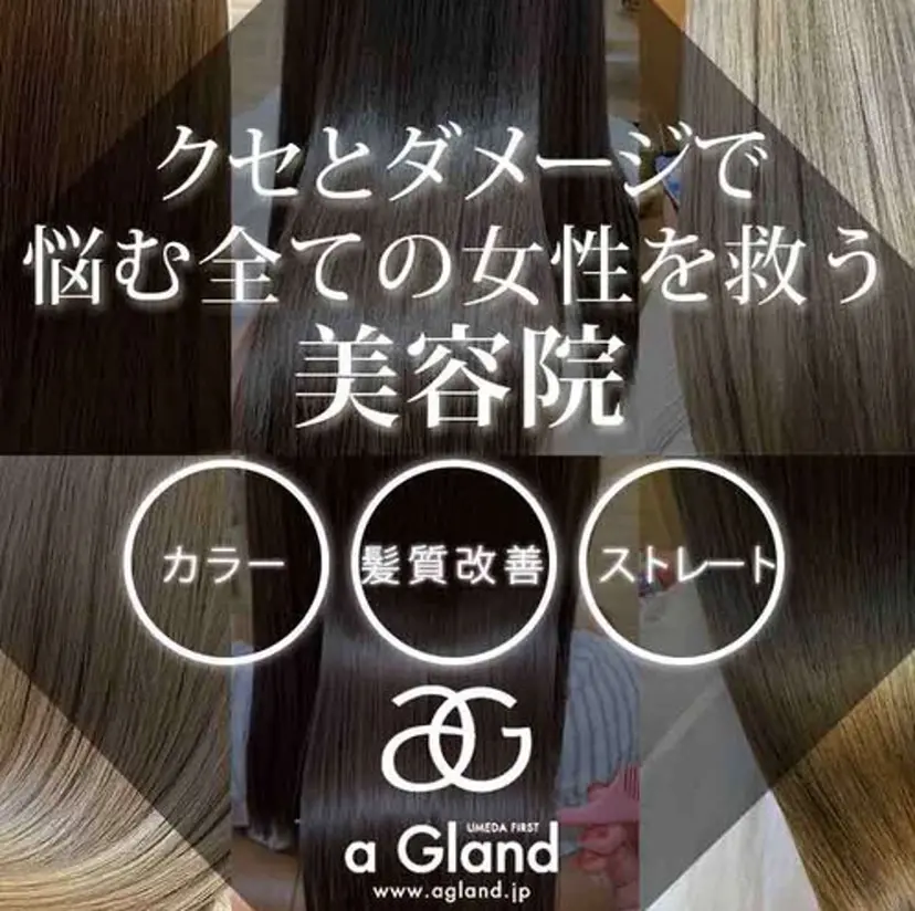 田邊 汐音の掲載