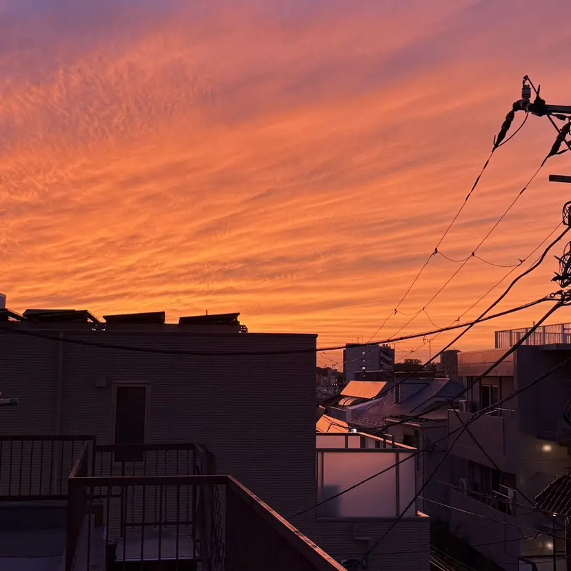 ハイトーン🫧 ケン🌟の掲載