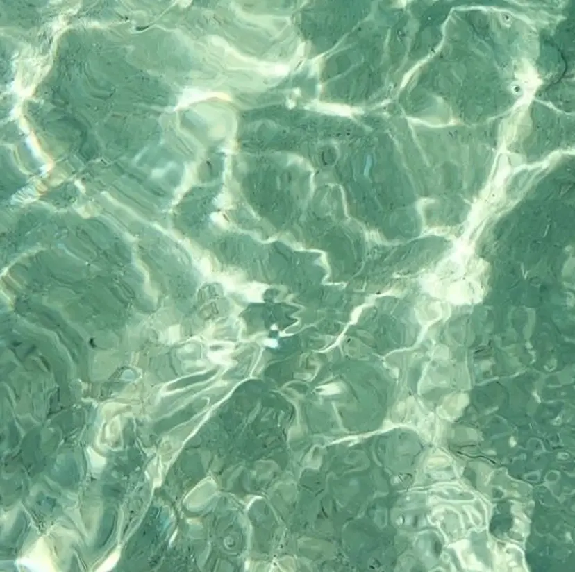 👑𝐊𝐢𝐧𝐠 心斎橋店🎀美麗👑の掲載