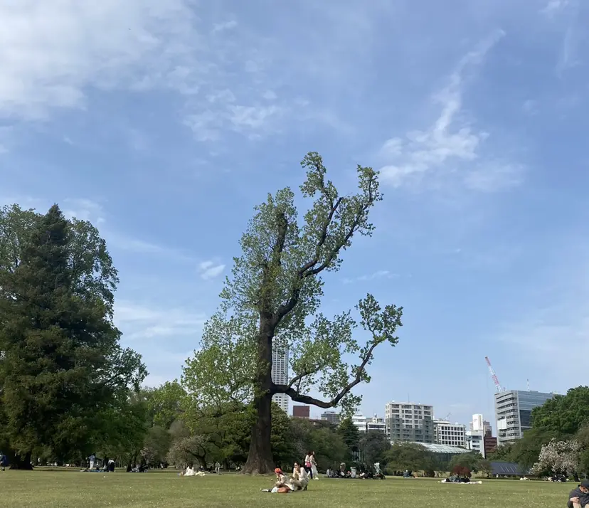 ショートカット kyoukaの掲載