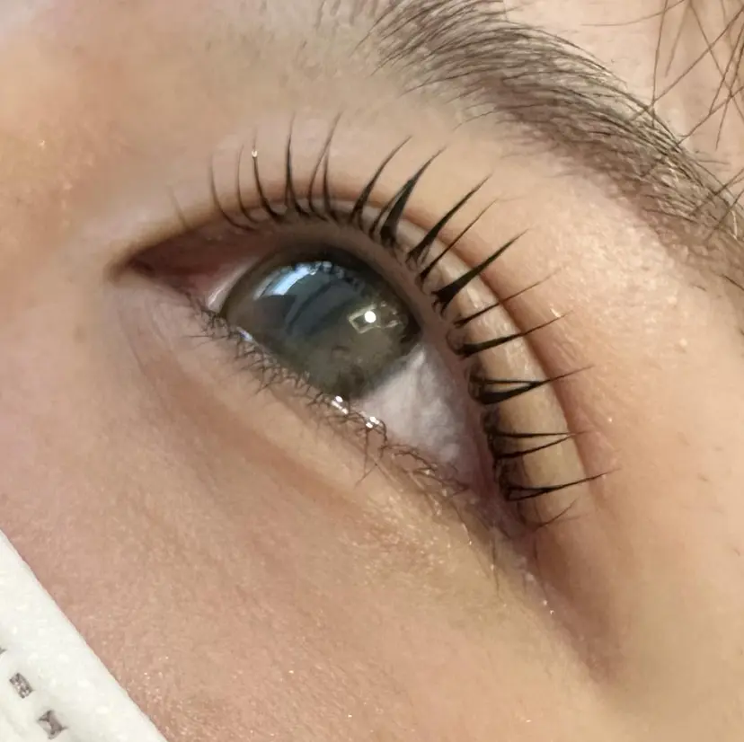 高月 友奈の掲載