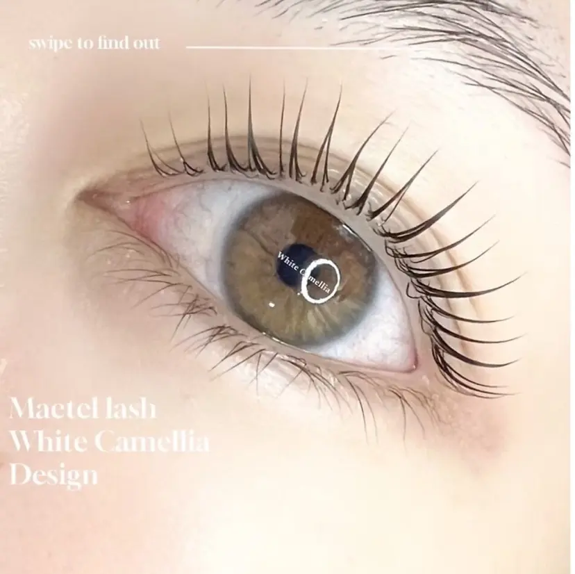 韓国風束感まつ毛 🫧Akaneの掲載