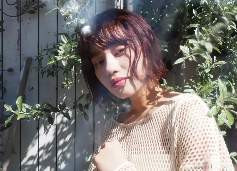 she. noaの掲載