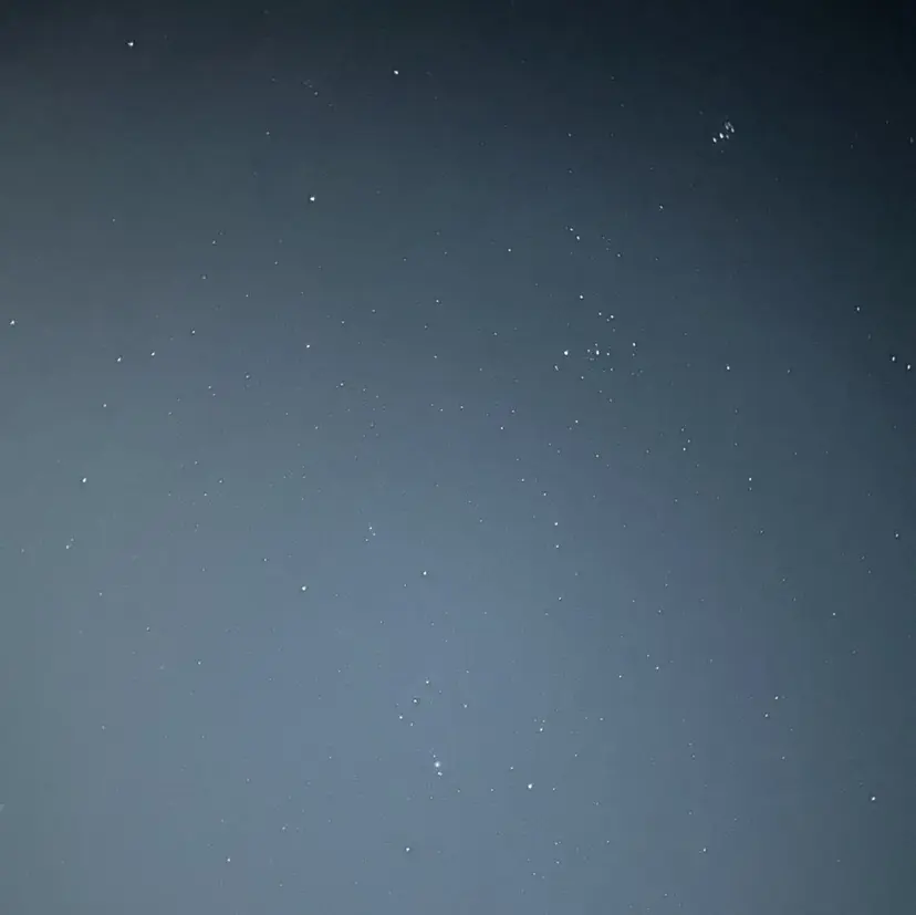 🍁八木風歌 🍁の掲載