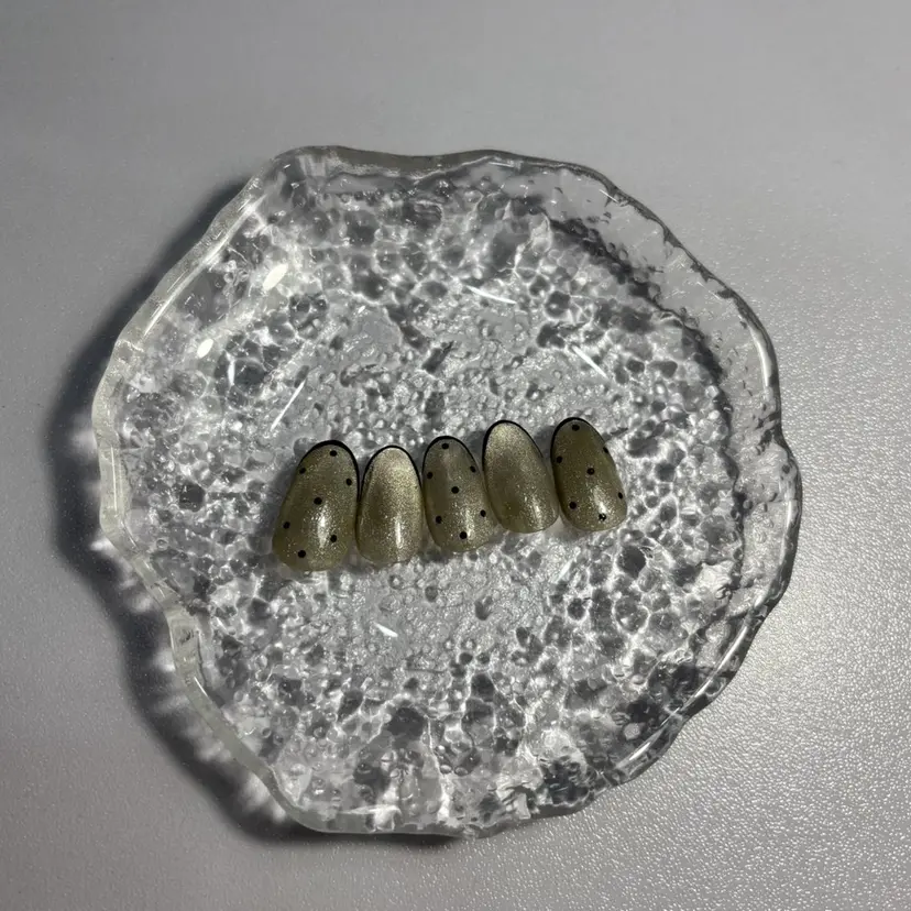 長谷川 しおりの掲載