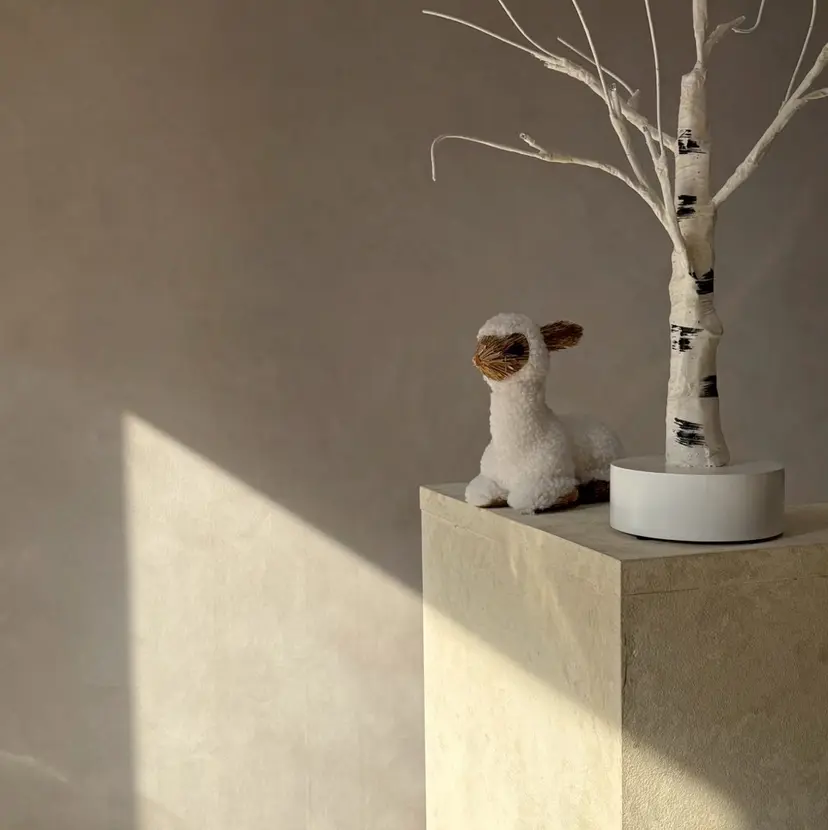 Lily 石井の掲載