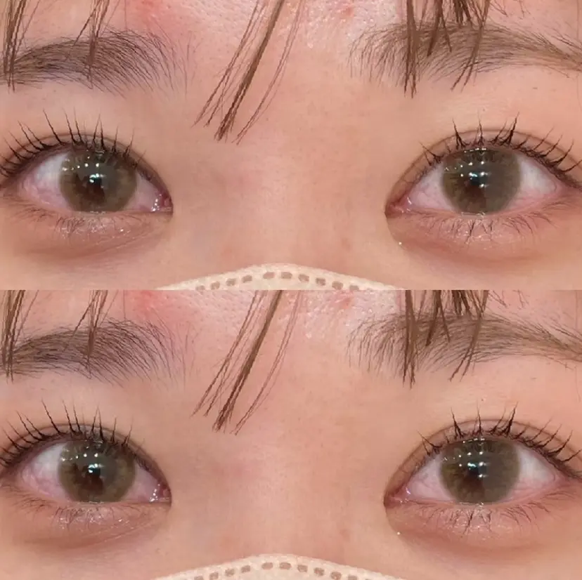 いせき しのぶの掲載