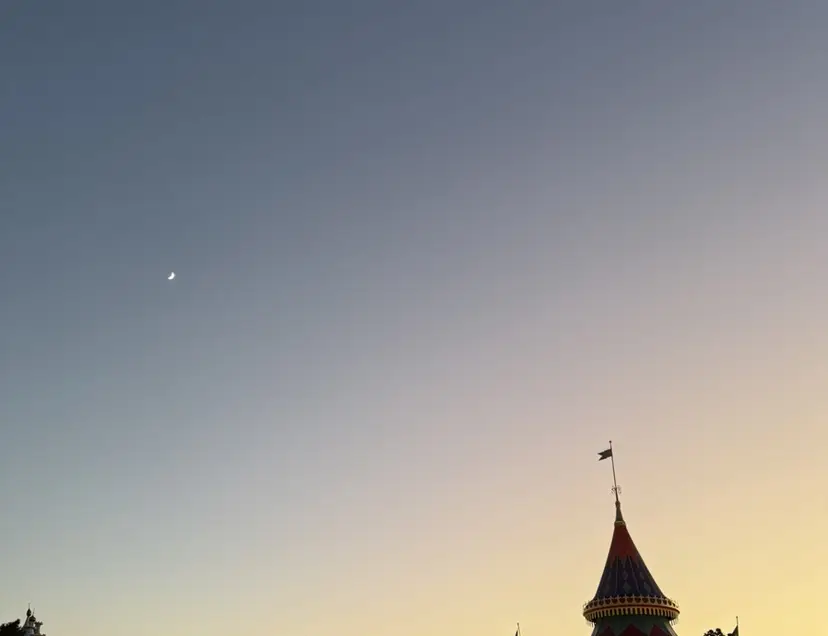 TRUnail mia🫧の掲載