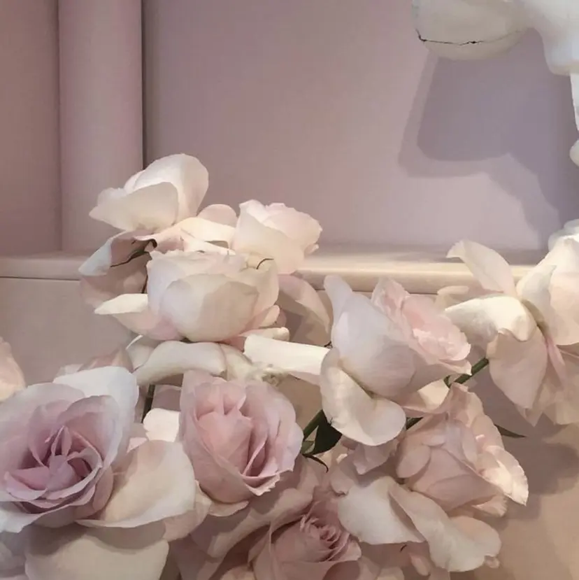 SALON ELVI.の掲載