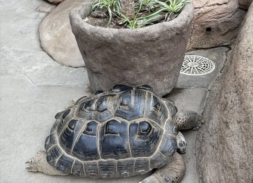 前田 葵斗の掲載