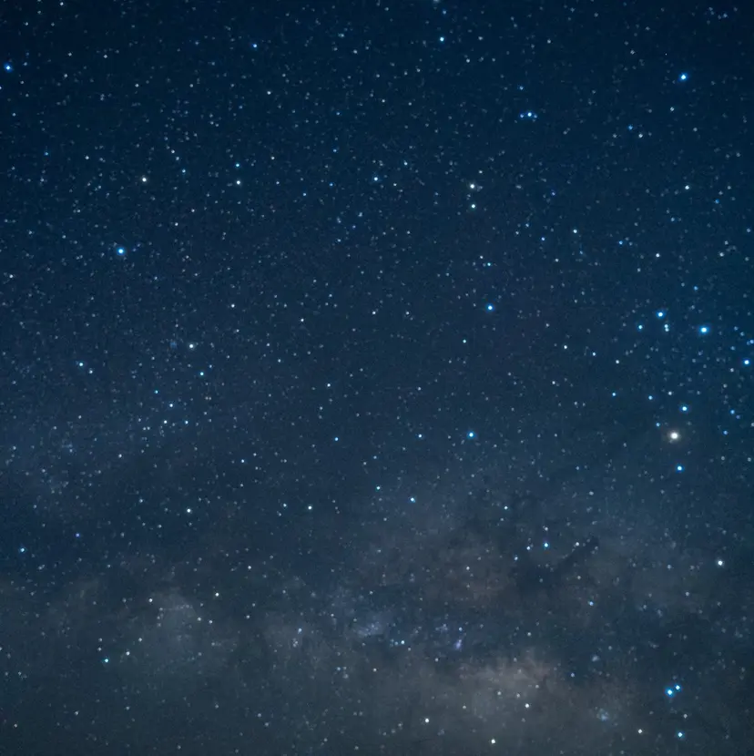 三橋 梨沙の掲載