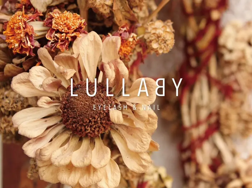 LULLABY 🪽Nikkiの掲載