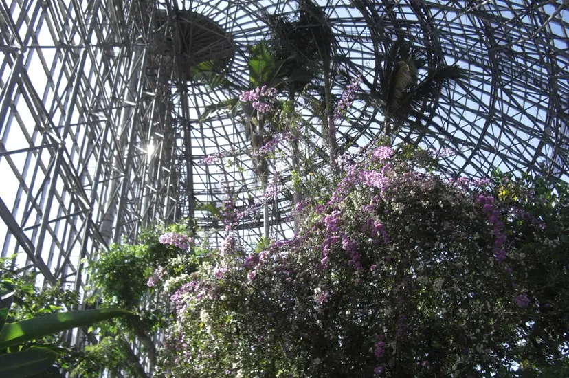 ハイトーン/艶カラー 𝐧𝐨𝐚の掲載