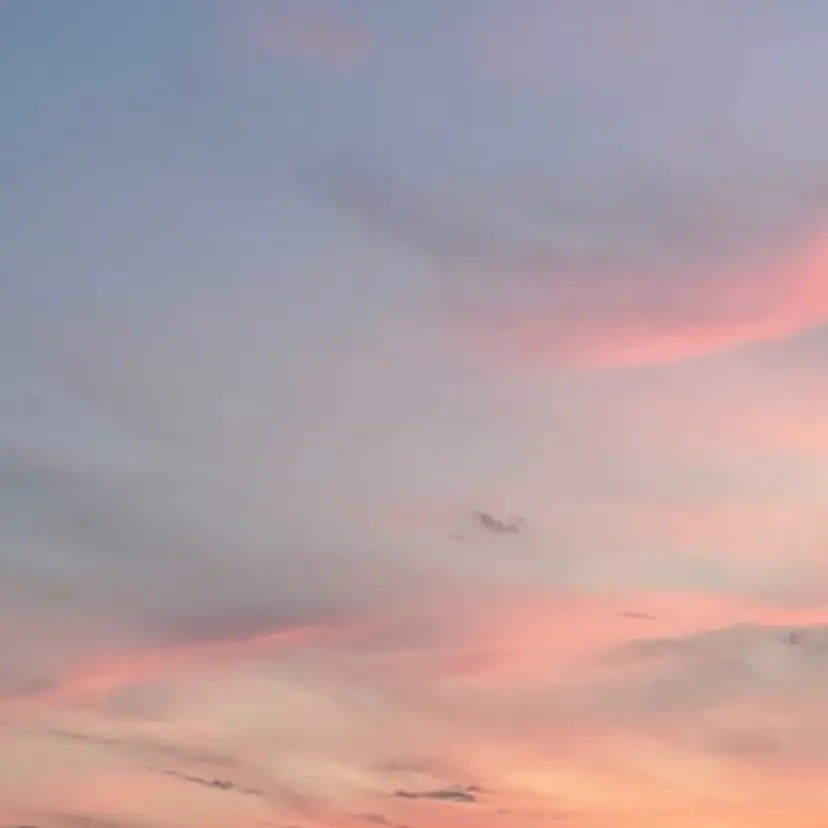 Bianca YAMAMOTOの掲載