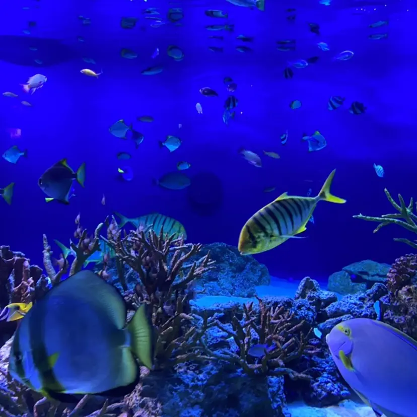 武田 まりもの掲載