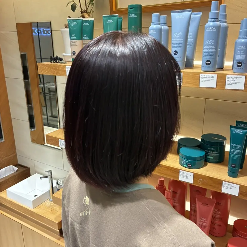 秋山 優雅の掲載