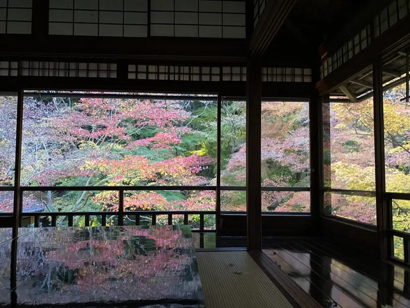 小倉 麻由の掲載