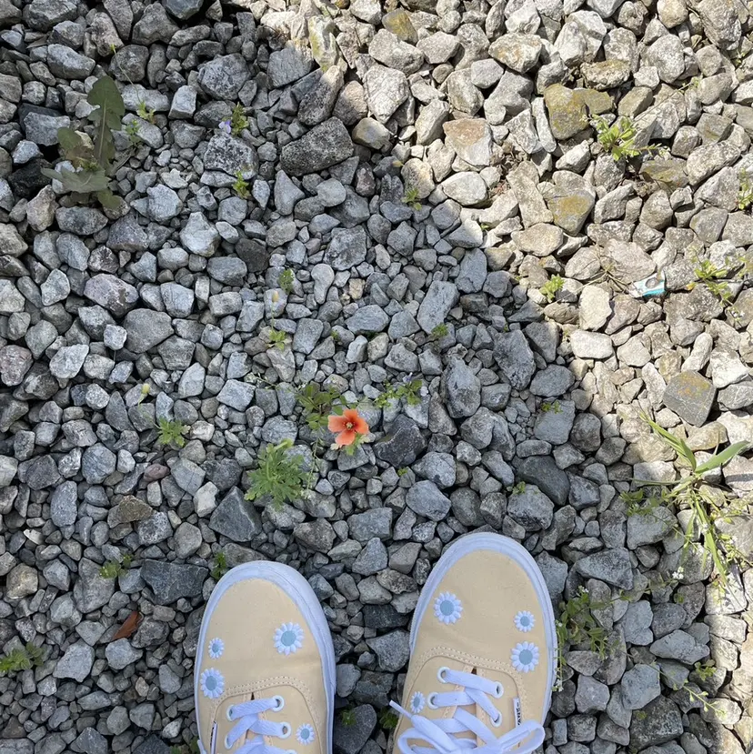 RIN ¨̮の掲載