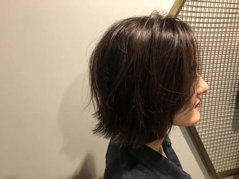 中島 芽生の掲載