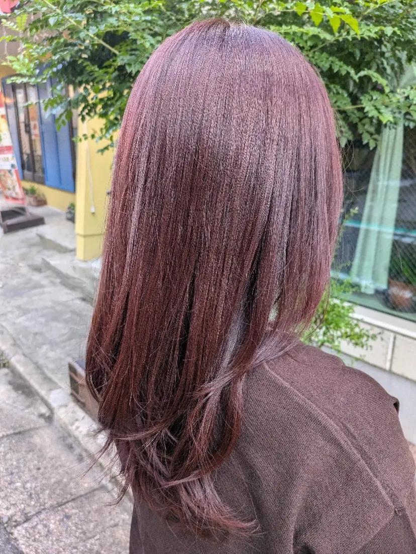 山本 千鶴の掲載