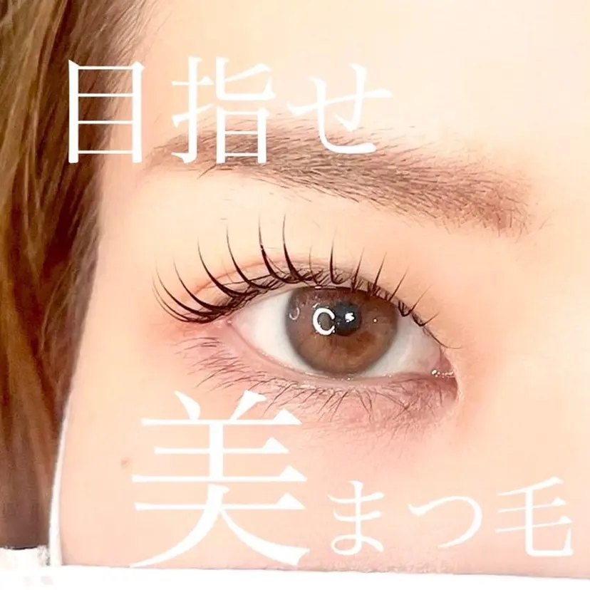 青木 千佳の掲載