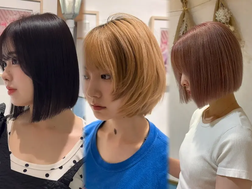 椎葉優斗 シイバマサトの掲載