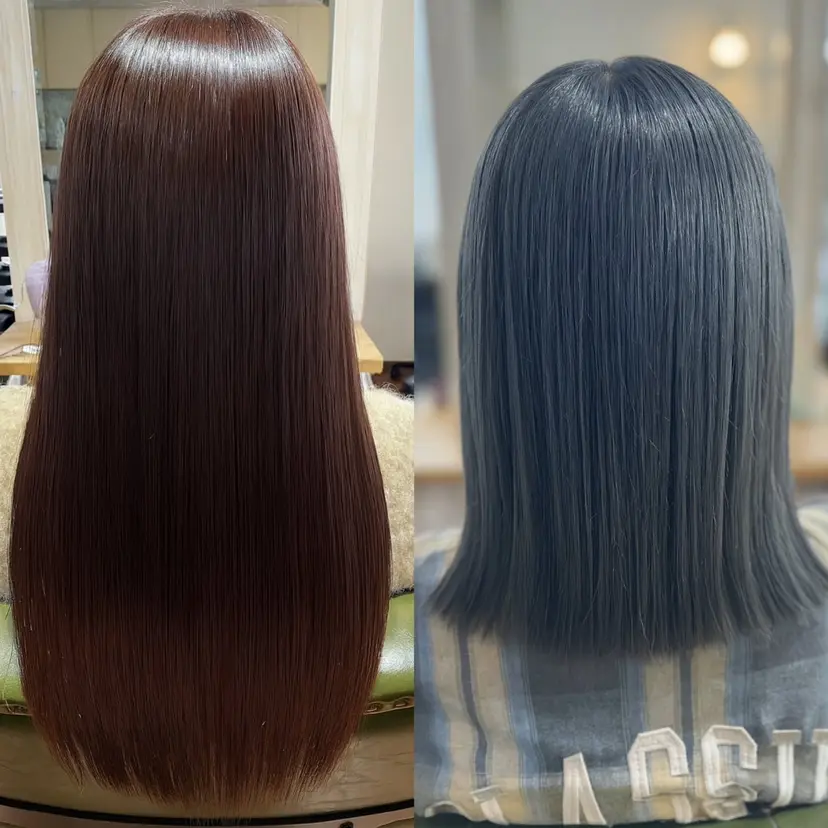 井本 詩帆の掲載