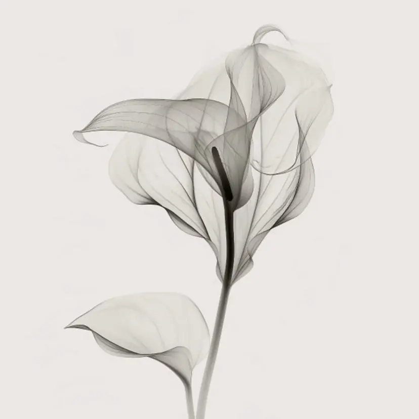 h. hinaの掲載