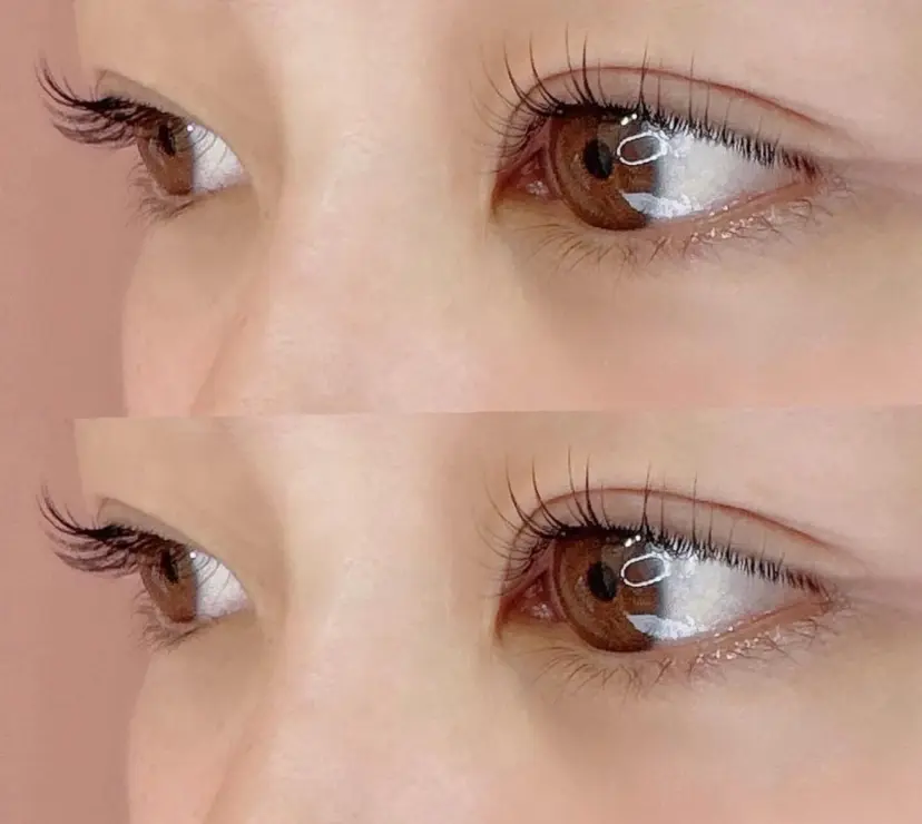 Venus ひかるの掲載