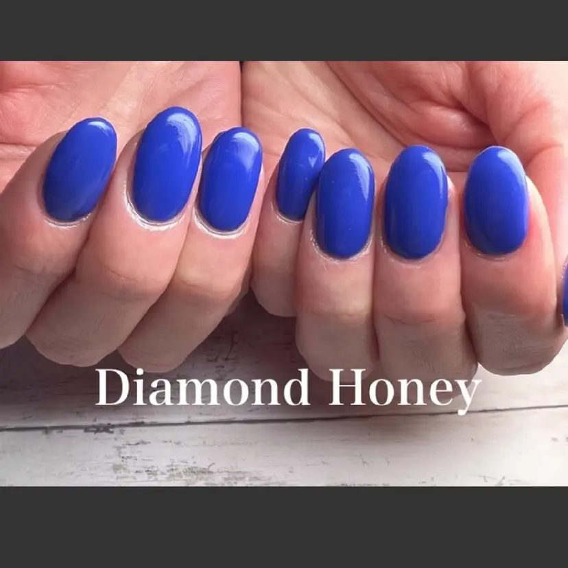 高野 紀子の掲載