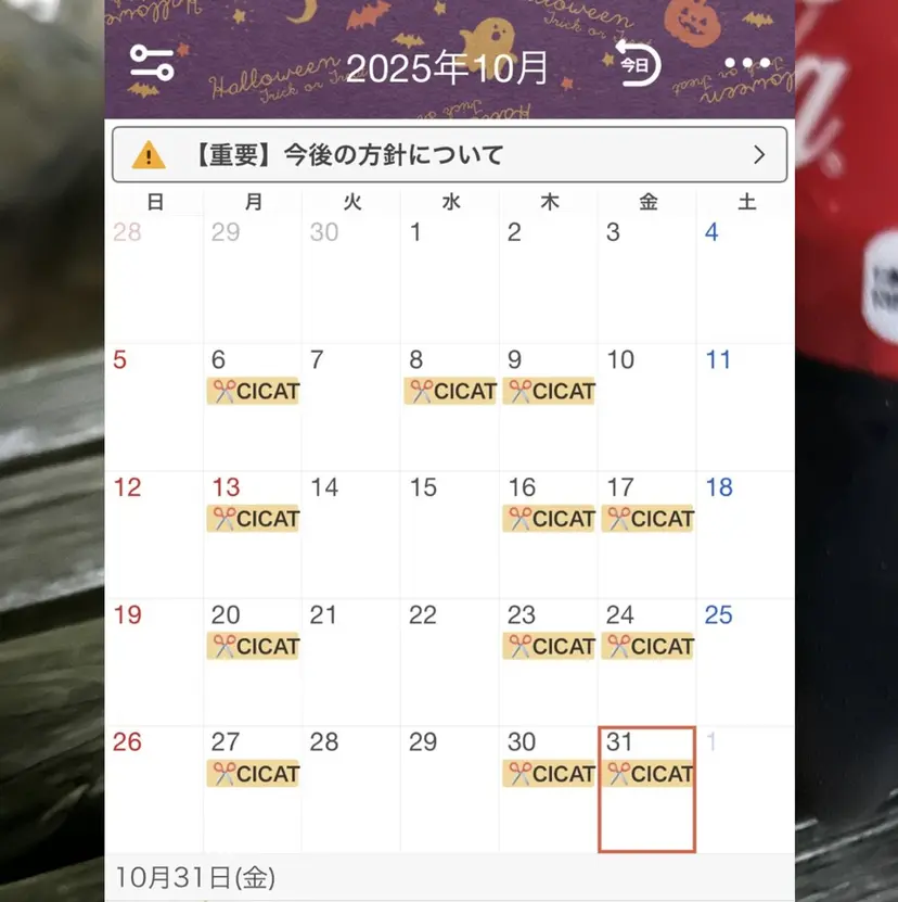 カラー🫧/鎌倉 縮毛矯正/edA大空の掲載